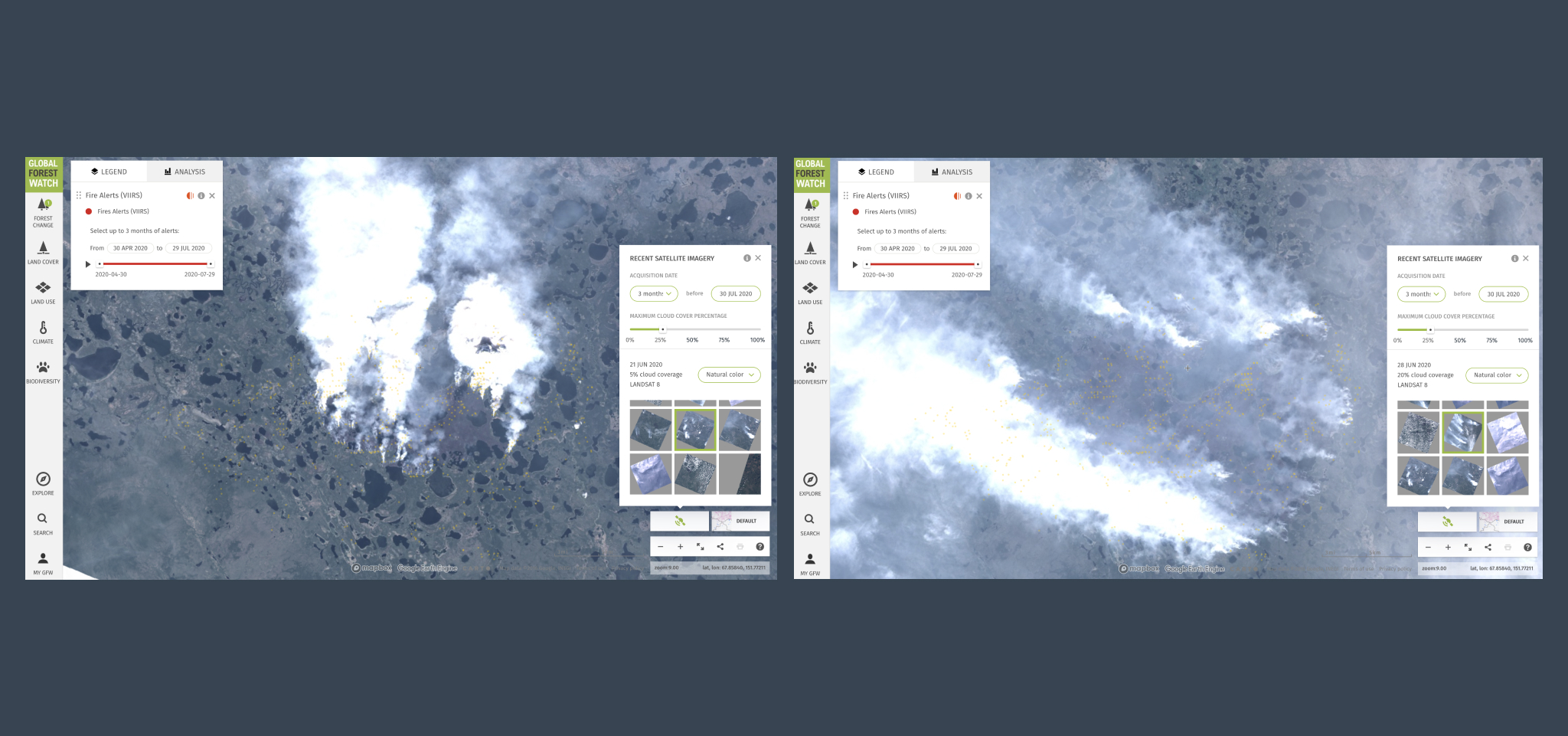 Global Forest Watch map, satellite images of fires in Siberia in June 2020